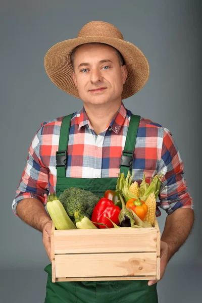 Agronom se zeleninou na šedém pozadí — Stock fotografie