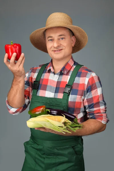 Landbouwingenieur met groenten op grijze achtergrond — Stockfoto