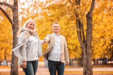 Çift sonbahar gününde Park'ta yürüyordunuz Olgun