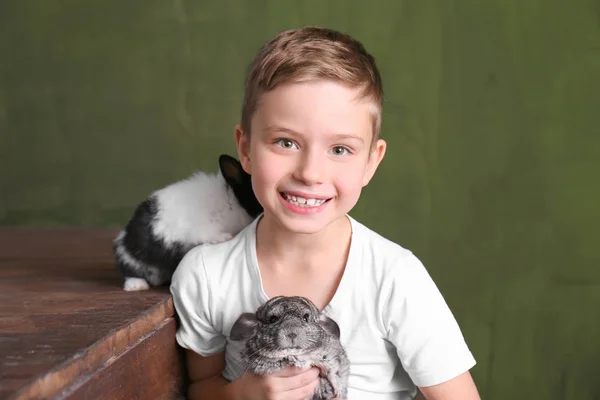 Söt pojke med roliga chinchilla och kanin, inomhus — Stockfoto