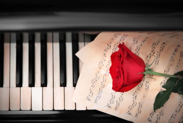 Rose rouge et partitions musicales sur touches piano — Photo