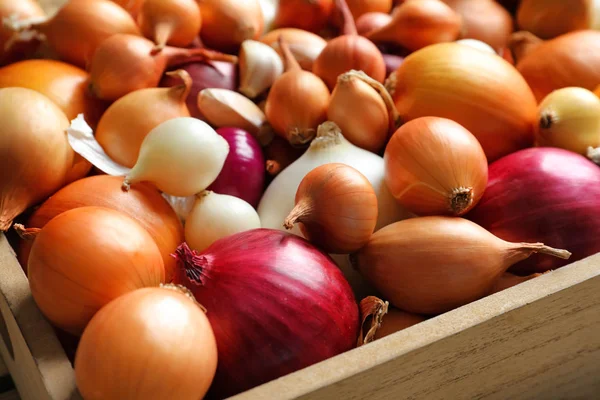 Farklı soğan, closeup ile tepsi