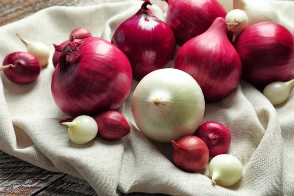 A táblázat különböző hagyma különböző — Stock Fotó