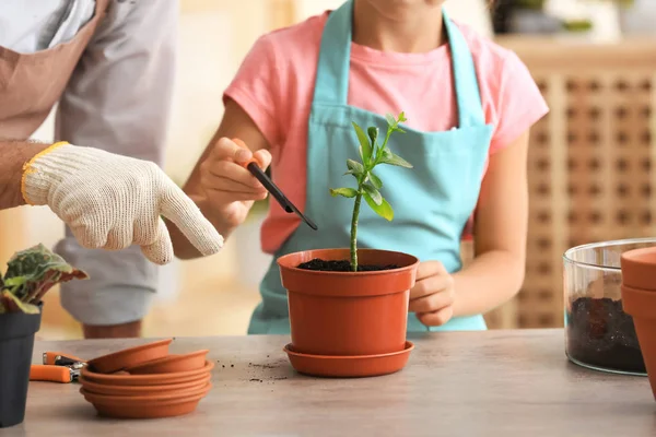 Komuta sizde onun torunu ile evde Bahçe