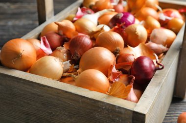 Farklı soğan, closeup sandık