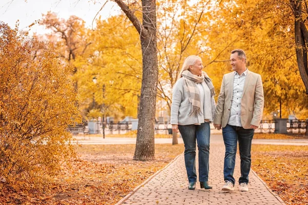 Starsza para spaceru w parku na jesienny dzień — Zdjęcie stockowe