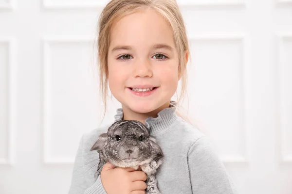 Sød pige med sjov chinchilla, indendørs - Stock-foto