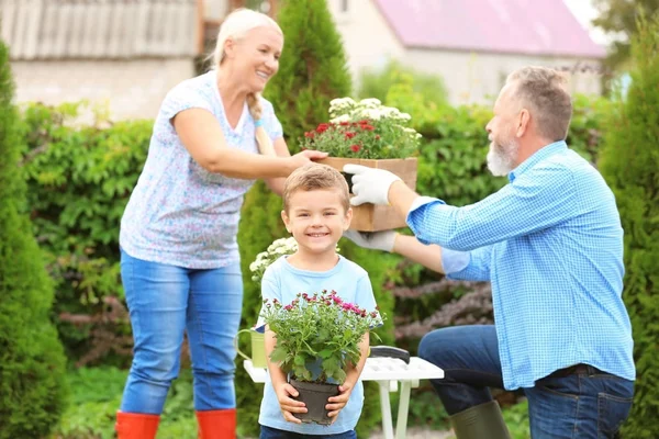 小男孩抱着盛开的植物, 而他的祖父母在花园工作 — 图库照片