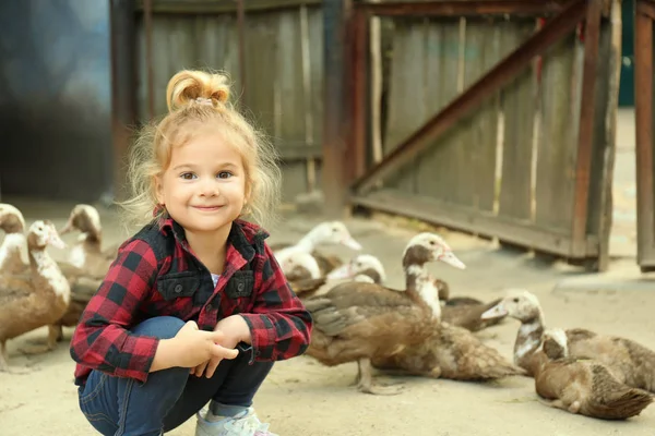 Cute little girl on poultry yard — Stock Photo, Image