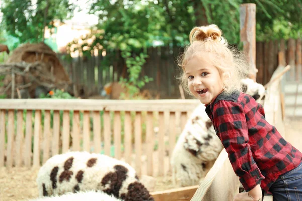 Cute little girl looking at sheep on farm — Stock Photo, Image