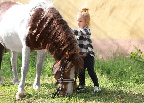 Söt liten flicka med häst på gården — Stockfoto