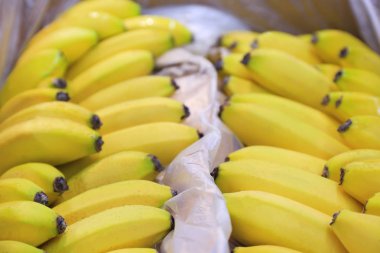 Kutusunda taze olgun muz