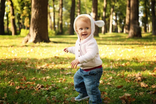 Αξιολάτρευτο κοριτσάκι περπάτημα στο πάρκο φθινόπωρο — Φωτογραφία Αρχείου