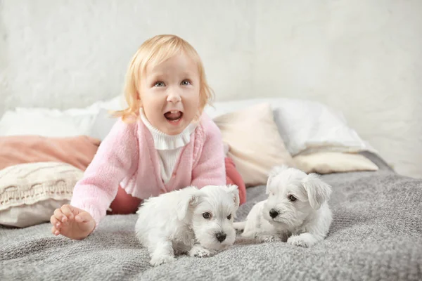 Piccola ragazza carina con cuccioli a casa — Foto Stock