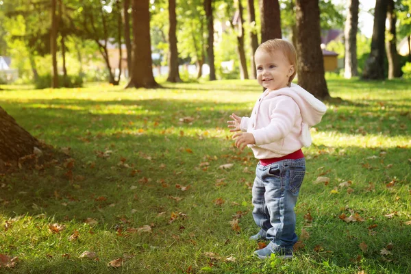 Schattig meisje, wandelen in de herfst park — Stockfoto