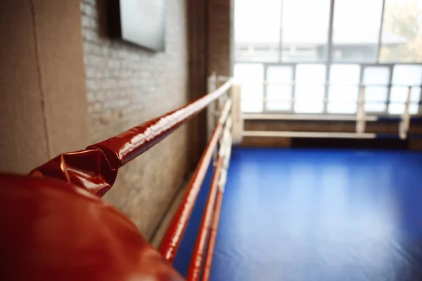 Boxing ring ropes in gym, closeup — Stock Photo, Image