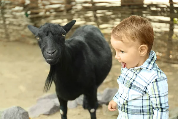 Schattige kleine jongen met geit op boerderij — Stockfoto