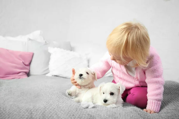 Piccola ragazza carina con cuccioli a casa — Foto Stock