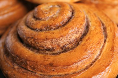 Tatlı tarçın rulo, portre