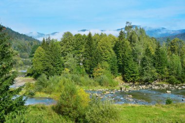 Güzel manzara nehir orman ve dağ ile