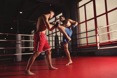 Ringde eğitim genç profesyonel kickboxers