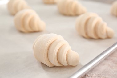 Parşömen kağıt üzerinde Hilal rulolar