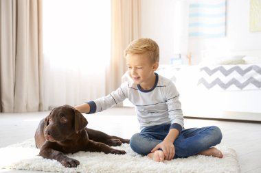 Köpek evde kat ile sevimli küçük çocuk