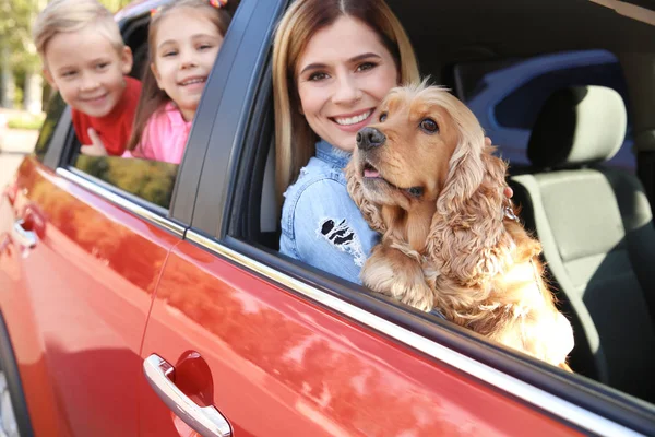 Young family with children and dog in car — Stock Photo, Image