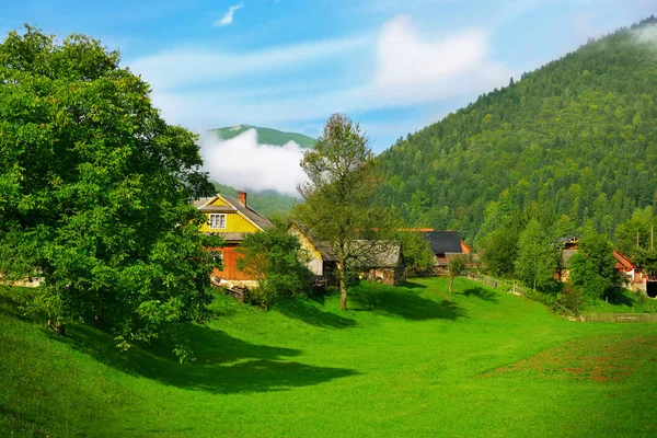 Güzel bir kırsal ve yeşil orman manzarası — Stok fotoğraf