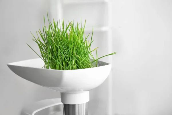 Sapcentrifuge met tarwe gras — Stockfoto