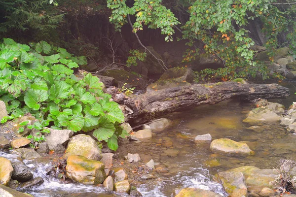 Arroyo de montaña con rocas — Foto de Stock