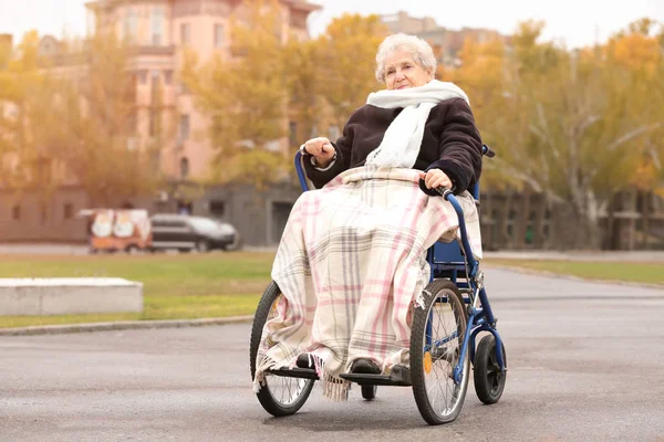 Donna anziana in sedia a rotelle all'aperto il giorno d'autunno — Foto Stock