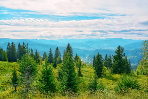 dağ orman ile güzel manzara