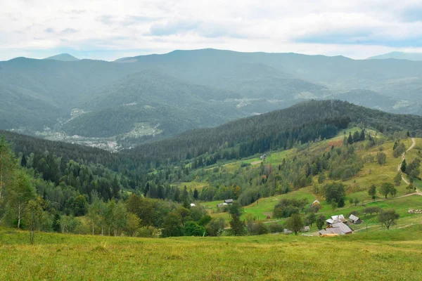 Vackert landskap med bergskog — Stockfoto