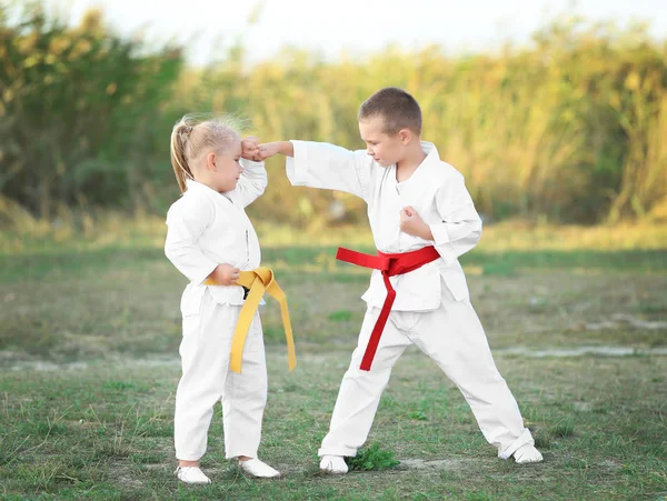 Niños practicando karate al aire libre — Foto de Stock