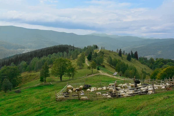 Dağlarda sheepfold görünümünü — Stok fotoğraf