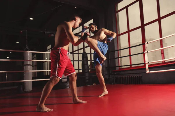 Unga professionella kickboxers utbildning i ringen — Stockfoto