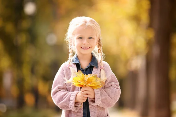 Ładna dziewczynka z żółtych liści w parku — Zdjęcie stockowe