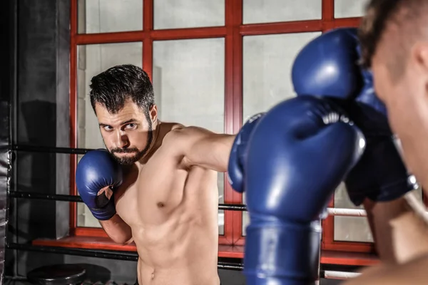 Jonge professionele boksers in de ring opleiding — Stockfoto