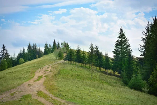 Bela paisagem com floresta de montanha — Fotografia de Stock