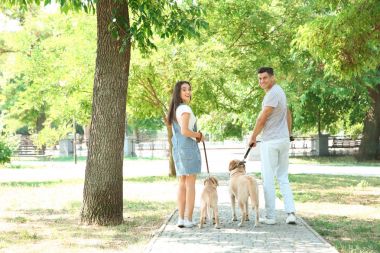 Genç çift sarı Retriever Park'ta yürüyordunuz