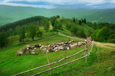 View of sheepfold in mountains clipart