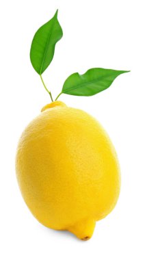 Beyaz arka planda taze limon