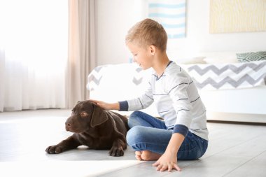 Köpek evde kat ile sevimli küçük çocuk