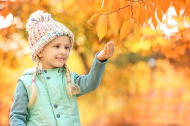 Sonbahar parkında küçük şirin bir kız.