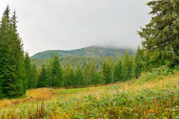 Bela paisagem montanhosa — Fotografia de Stock