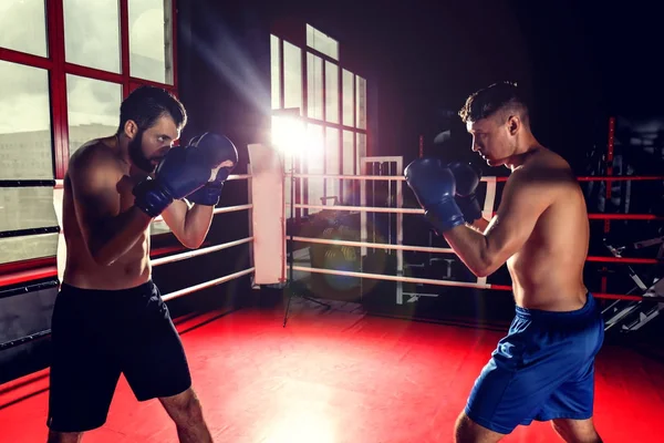 Entrenamiento de jóvenes boxeadores profesionales en ring — Foto de Stock