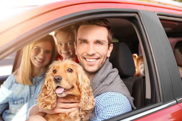 Young family with dog in car