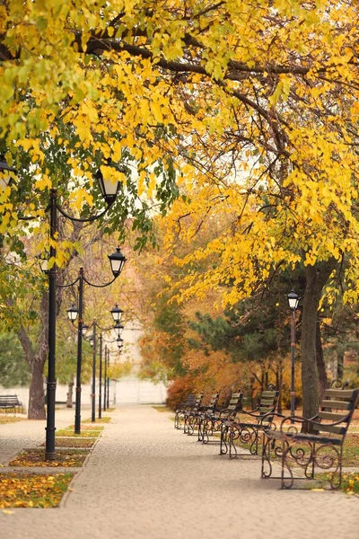 Picturesque view of empty park — Stock Photo, Image