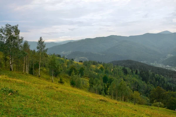 Hermoso paisaje con bosque de montaña —  Fotos de Stock